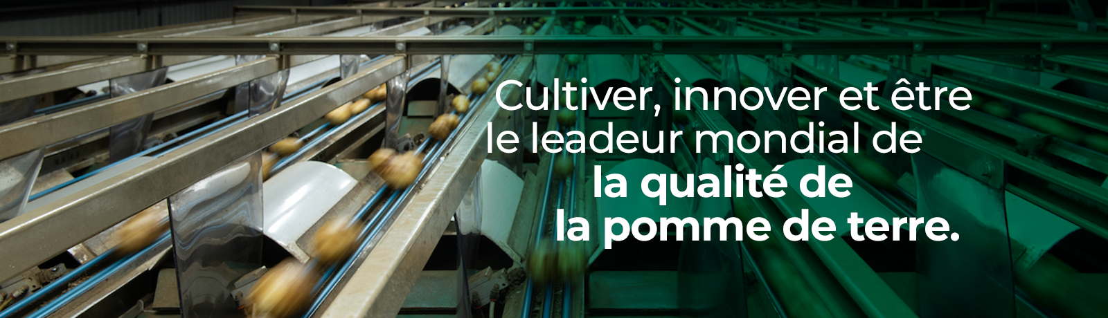 home_leading_french